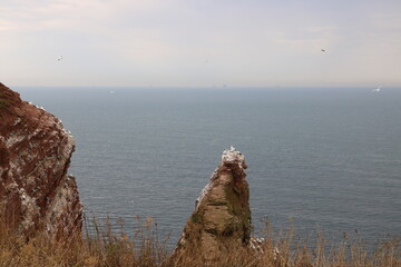 Die roten Klippen der Insel Helgoland in der Nordsee mit Blick aufs Meer mit vielen Vögeln,...