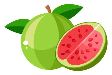 Guava Line Drawing Vector with Fresh Slice Illustration