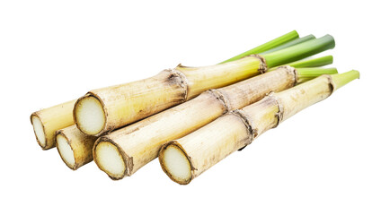 Fresh sugarcane stalks ready for juicing or culinary use in tropical recipes and beverages, cut out