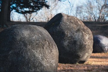 boulders decorative art in the woods