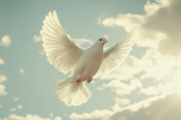 Obraz premium A white dove flaps its wings in the sky, with sunlight shining through the clouds on it.