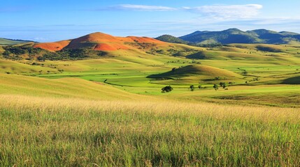 Fototapeta premium Vibrant Madagascar Landscape with Lush Greenery and Sunlit Yellow Fields - Natural Beauty and Scenic Views in Africa
