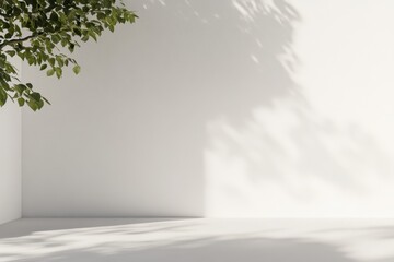 Fototapeta premium Minimalist scene with natural light and plant shadows creates a peaceful, light-filled space