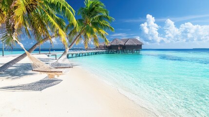 Tropical Paradise: Hammock, Beach, and Overwater Bungalows