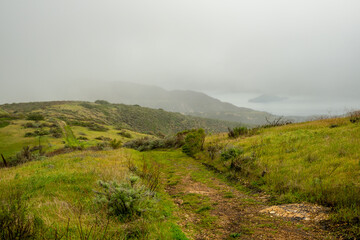 Obraz premium Thick Fog Rolls in Over Shoreline of Santa Cruz Island