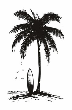 A palm tree and surfboat silhouette