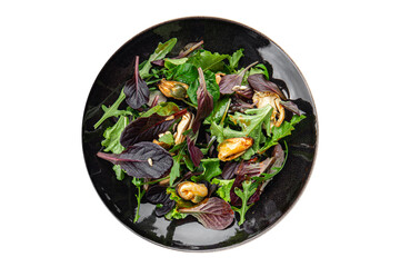 Mussel salad mix of leaves salad and seafood fresh tasty food dish delicious gourmet food background on the table rustic food top view copy space keto and paleo diet Vegetarian food pescetarian diet