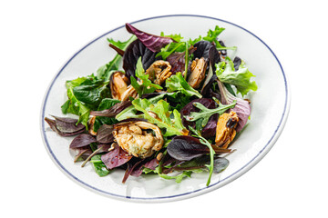 Mussel salad mix of leaves salad and seafood fresh tasty food dish delicious gourmet food background on the table rustic food top view copy space keto and paleo diet Vegetarian food pescetarian diet