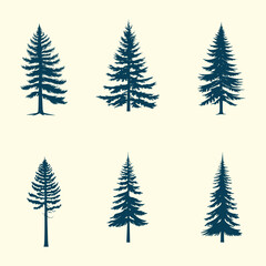 Vintage evergree trees and forest silhouettes set in monochrome style isolated vector illustration