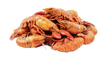 Freshly cooked crawfish ready for a festive seafood boil or culinary dishes, cut out
