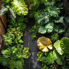 A Lush Tropical Escape: Verdant Foliage and Sunlight Interplay in a Tranquil Indoor Garden Space