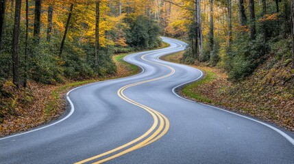Fototapeta premium A winding road through a beautiful forest during autumn season