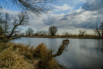 Wandern am Bogener Donau-Altarm an einem frühlingshaften Märztag