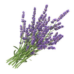 Fototapeta premium Lavender bouquet vibrant purple flowers tranquil beauty calming fragrance