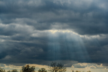 Wandern am Bogener Donau-Altarm an einem frühlingshaften Märztag