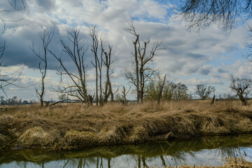 Wandern am Bogener Donau-Altarm an einem frühlingshaften Märztag