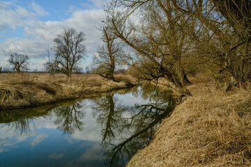 Wandern am Bogener Donau-Altarm an einem frühlingshaften Märztag