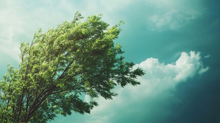 Obraz premium Vibrant Green Treetop Swaying in Strong Wind Against Clear Blue Sky