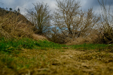 Wandern am Bogener Donau-Altarm an einem frühlingshaften Märztag