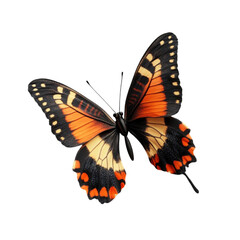 Vibrant Butterfly Wings Exquisite Detail Nature Beauty