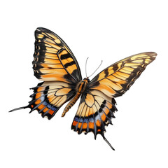 Fototapeta premium Majestic Butterfly Wings Abstract Art Nature Beauty Flight