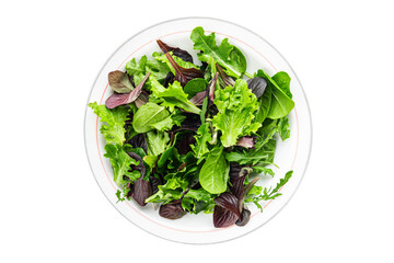 Healthy salad leaves mix salad juicy snack micro greens, arugula, lettuce, oak leaf, green leaf...