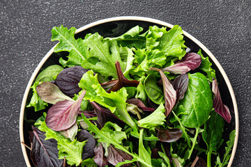 Healthy salad leaves mix salad juicy snack micro greens, arugula, lettuce, oak leaf, green leaf...
