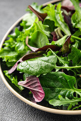 Healthy salad leaves mix salad juicy snack micro greens, arugula, lettuce, oak leaf, green leaf...