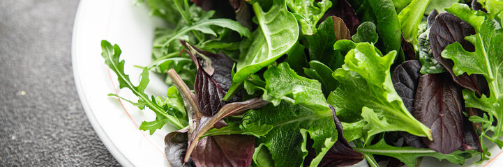Healthy salad leaves mix salad juicy snack micro greens, arugula, lettuce, oak leaf, green leaf...