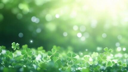 Fototapeta premium Shamrock Leaves, Sunlight, Bokeh