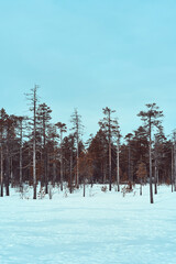 Winter photography around the Tretjønna Lakes, part of the Totenåsen Hills, Norway, February 2025.