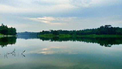 Obraz premium reflection of trees in water