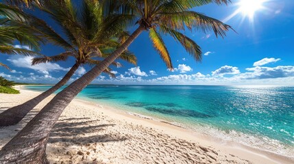 Tropical Paradise: Sun-Kissed Beach with Lush Palm Trees