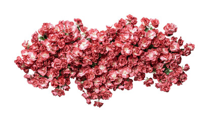 Fototapeta premium Beautiful arrangement of pink roses for wedding decor and special events, cut out