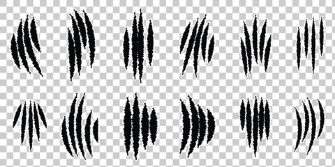 claw mark from wild animal, mark scratch beast. Monster silhouette claw mark, scratches, talons, cuts animal, cat, tiger, bear, lion. Design eps 10