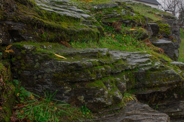 Moss Covered Rocky Steps in a Natural Landscape, Green and Gray, Tranquil Outdoor Scene