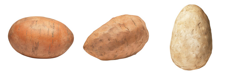 Fototapeta premium Varieties of Sweet Potatoes on White Isolated on transparent background