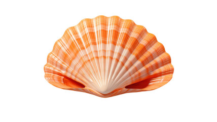 Obraz premium 3D Shell isolated on transparent background, PNG