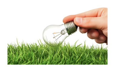 Innovative ideas for sustainability with a light bulb being held above lush green grass, cut out