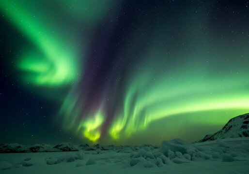 Arctic Aurora: Vibrant Green Lights Dance Across Starry Night