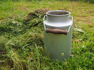 Obraz premium Aluminum can with water for watering near mown grass hay. Vintage milk can metal barrel. Green organic fertilizers for vegetables and beds. Hay stick and biological fertilizing of the root system