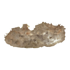 earth for flowers, garden, watercolor illustration for design, stickers, gardening