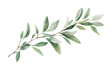 Obraz premium Elegant green leaves branch in natural setting for design, decoration, and botanical visuals, cut out