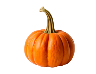 Pumpkin isolated on transparent background