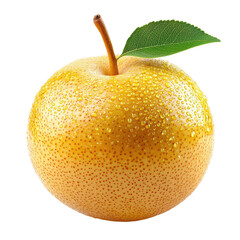 Crisp Asian Pear isolated on transparent background, PNG