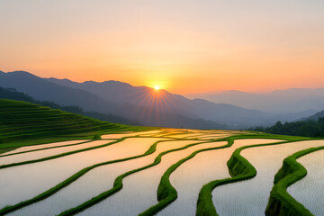 Fototapeta premium Terraced fields bathed in the warm hues of the sunset, showcasing the beauty of agricultural landscapes. Mountains line the horizon for serene nature.