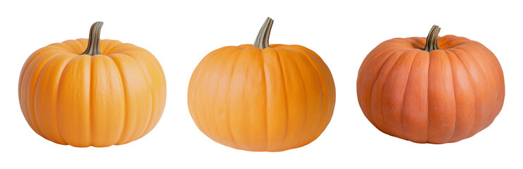 Obraz premium Three Pumpkins in Different Shades of Orange Isolated on transparent background