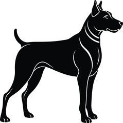 black dog isolated on white. black and white dog