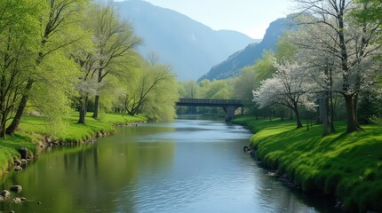 Obraz premium Calm Spring River with Bridge and Blooming Trees
