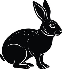 vector illustration of a rabbit on white background.